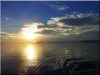 Balaton kerítéspanel, akác Balaton kerítéspanel, akác