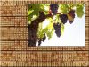 Karó, 3 x 3 x 150 cm- es Karó, 3 x 3 x 150 cm- es