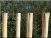 Debarked and sanded 1,5 m long poles