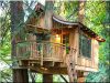 Tree house