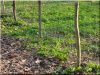  Fence posts