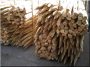 Poteau traditionnel d-acacia, long de 2 m