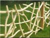 Branch fence, Zulu, 4 - 6 cm