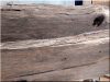 Thick, rustic walnut table top