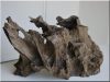 Root, driftwood