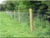 Construction of wire mesh fences