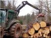 Logging