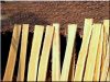 Acacia plank for fence building