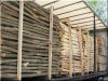 Acacia stake, 2 m long, natural