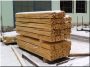 Stützpfahl aus Robinienholz, 25 x 25 mm, 2,5 m lang