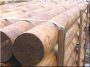 Round timber for favorable price