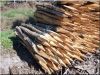 Acacia stake, 1,5 m long, natural