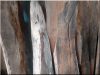 Custom wall covering