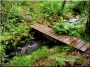 Petit pont jardinier de planches côtelées