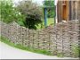 Saule pour la construction de clôtures en osier