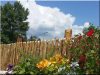 Fence made of barked pine