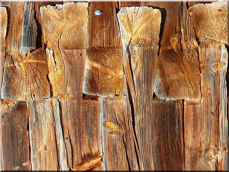 Poutre vieux bois non traité section 15 à 19cm long