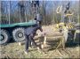 Log loading, tree approach