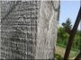 Acacia vineyard stake 2,5 meters, 5x5 cm 