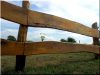 Oak fence plank