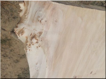 Plateau de table (été)