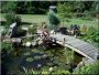Garden bridge building