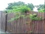Acacia fence piece