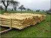 Holzpfahl Robinie, 5 m