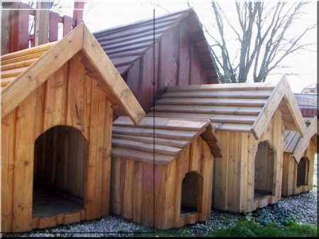 Dog-kennel from pine planks, size IV