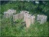 Bordure du jardin de chêne antique