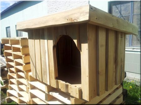 Locust dog-kennel size III, lean-to