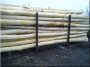 Debarked poles, 2,5 metres long, diam. 14 - 18 cm