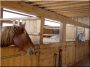 Pferdebox, 2,7 × 3,3 meter groß