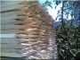Stützpfahl aus Robinienholz, 0,75 m