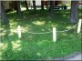 Acacia stake, 1 metre, sanded