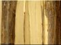 Wide acacia plank for fence building